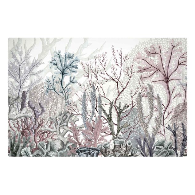 Canvas schilderijen - Magical coral splendour