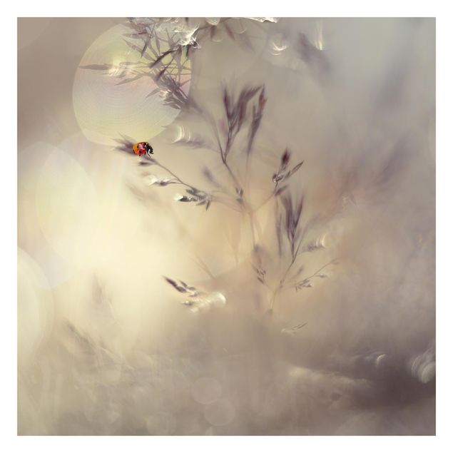 Fotobehang - Ladybird On Meadow Grass