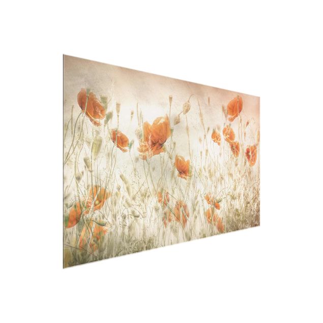 Glasschilderijen Poppy Flowers And Grasses In A Field