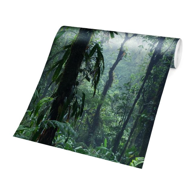 Fotobehang Monteverde Cloud Forest