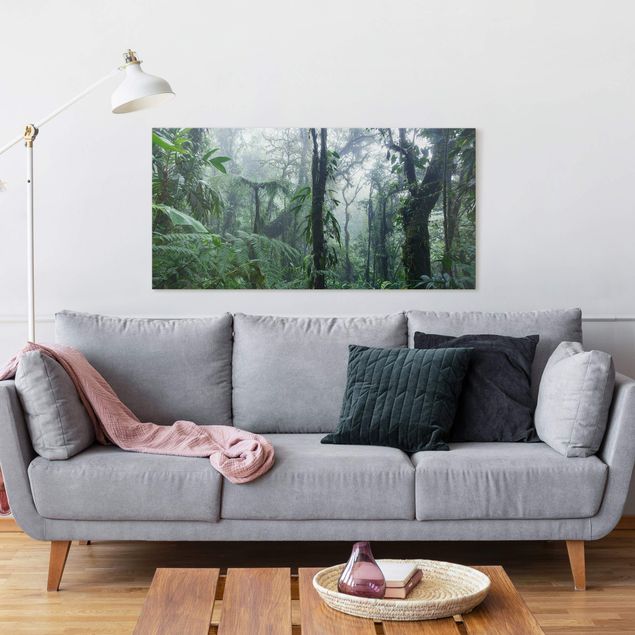 Canvas schilderijen Monteverde Cloud Forest