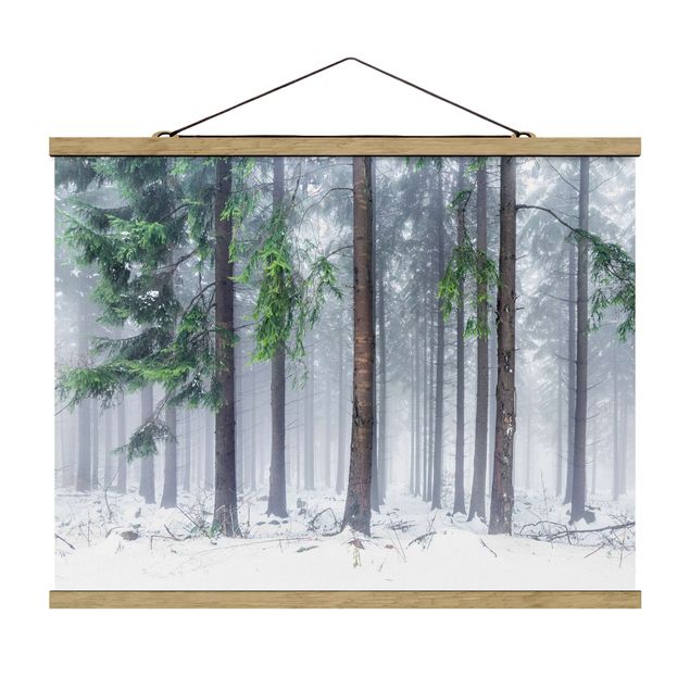Stoffen schilderij met posterlijst Conifers In Winter