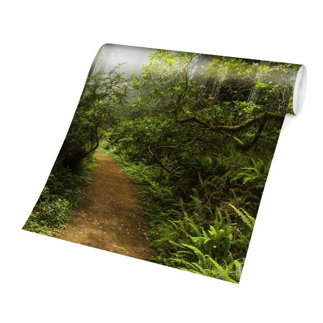 Fotobehang Misty Forest Path