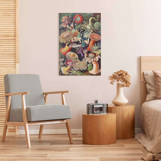 Canvas schilderijen Nymph With Sea Anemone