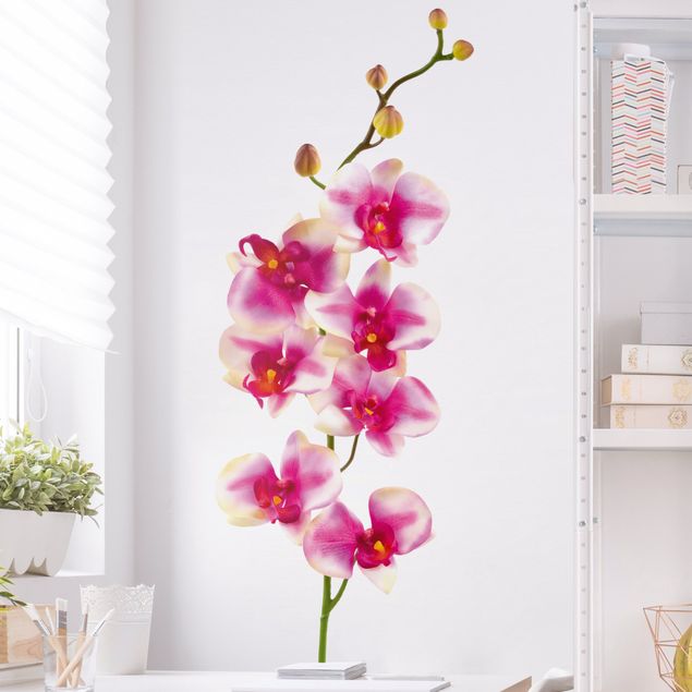 Muurstickers orchidee No.176 Orchid Rose I