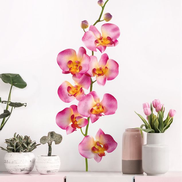 Muurstickers orchidee No.177 Orchid Rose II