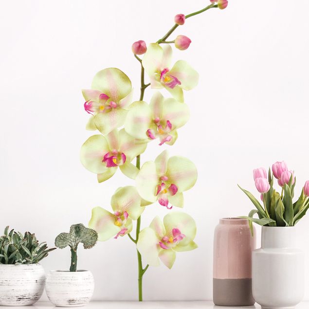Muurstickers orchidee No.190 Orchid White II