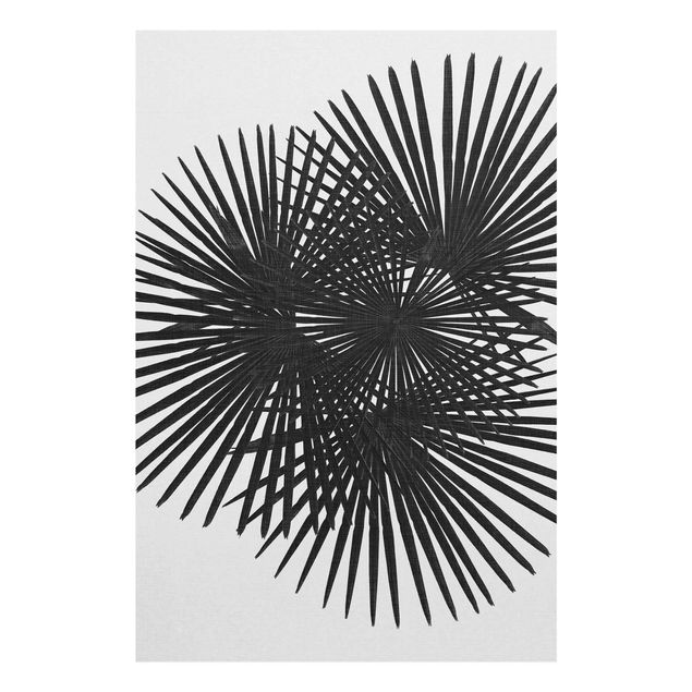 Glasschilderijen Palm Leaves In Black And White