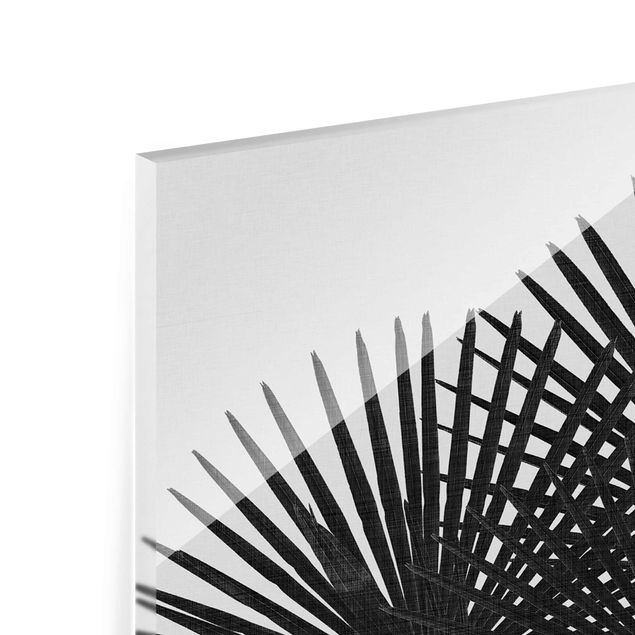 Glasschilderijen Palm Leaves In Black And White