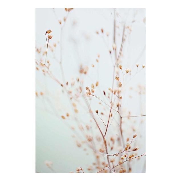 Glasschilderijen Pastel Buds On Wild Flower Twig