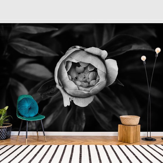 Fotobehang Peonies In Front Of Leaves Black And White