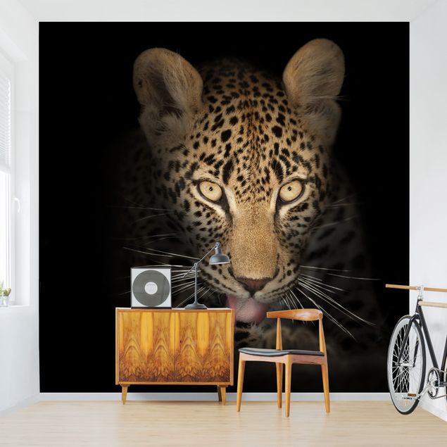 Fotobehang Resting Leopard