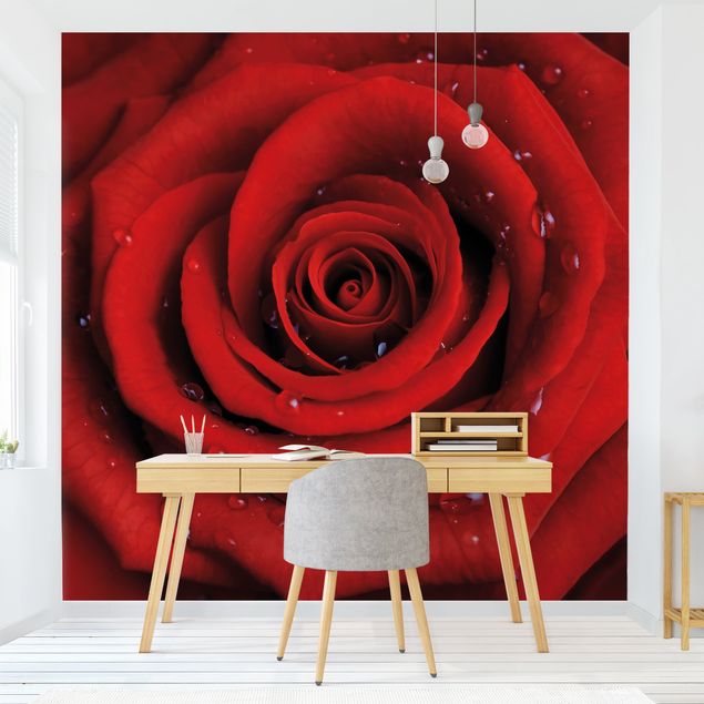 Fotobehang Red Rose With Water Drops