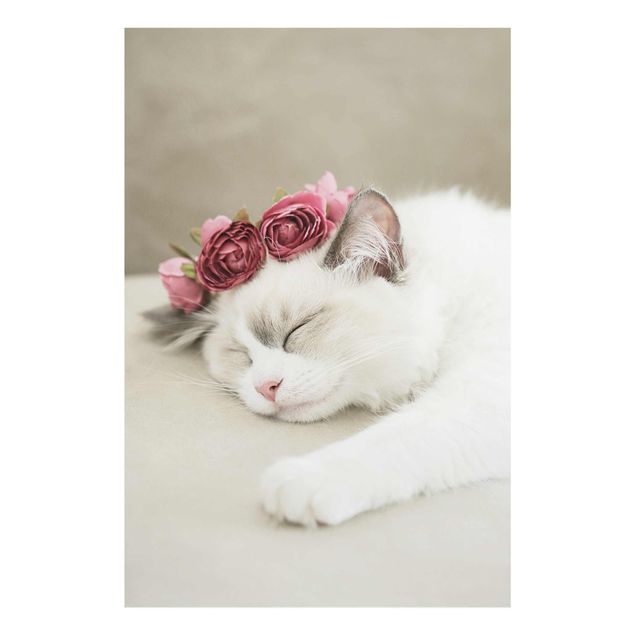 Glasschilderijen Sleeping Cat with Roses
