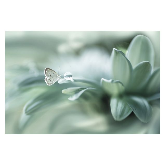 Fotobehang Butterfly And Dew Drops In Pastel Green