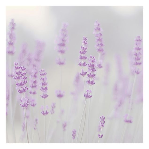 Fotobehang Summer In A Field Of Lavender