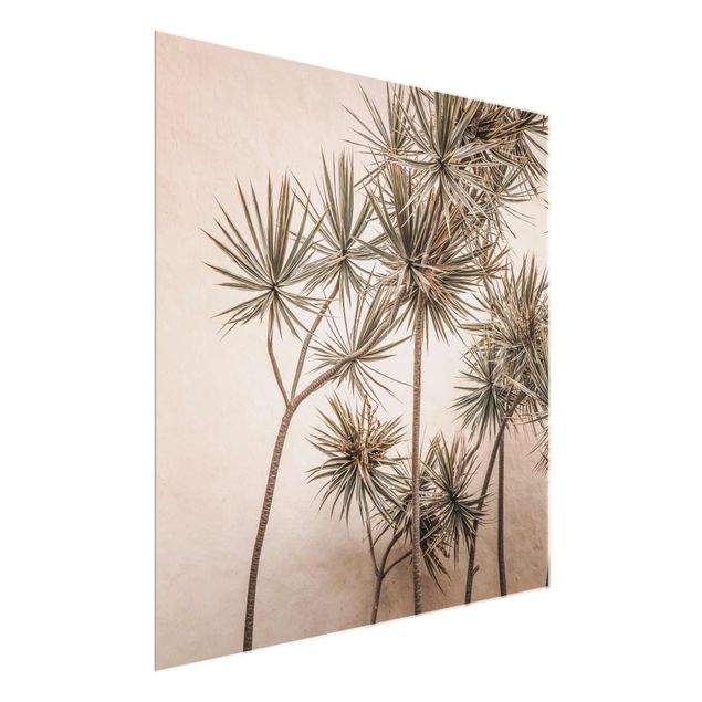 Glasschilderijen Sun-Kissed Palm Trees