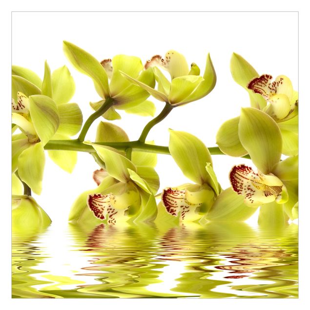 Fotobehang Splendid Orchid Waters