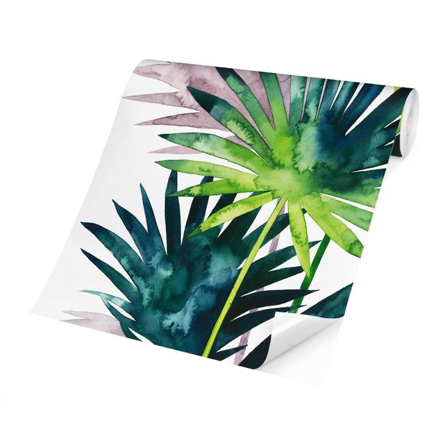Fotobehang Exotic Foliage - Fan Palm