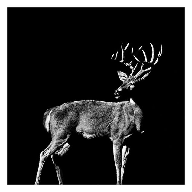 Fotobehang Deer In The Dark