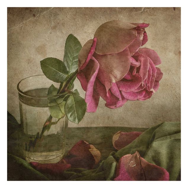 Fotobehang Tear Of A Rose