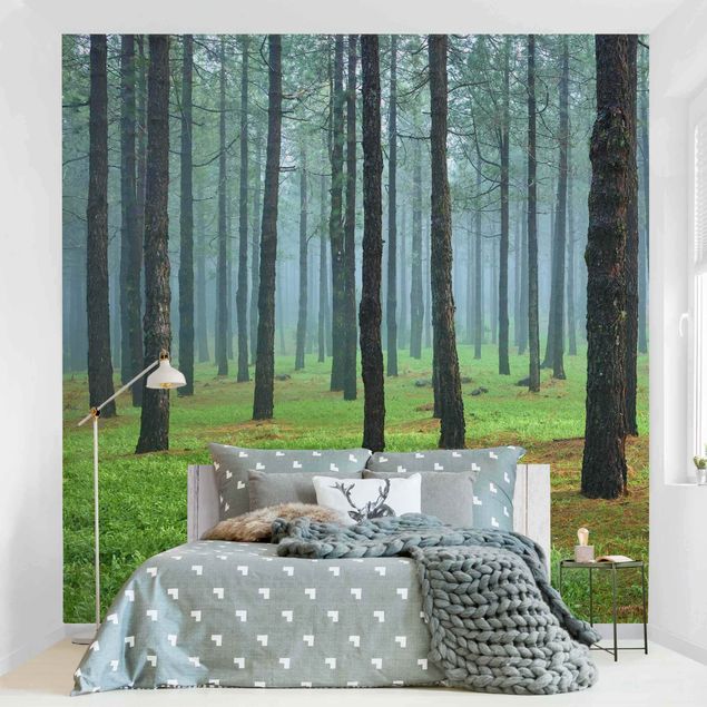 Fotobehang Deep Forest With Pine Trees On La Palma
