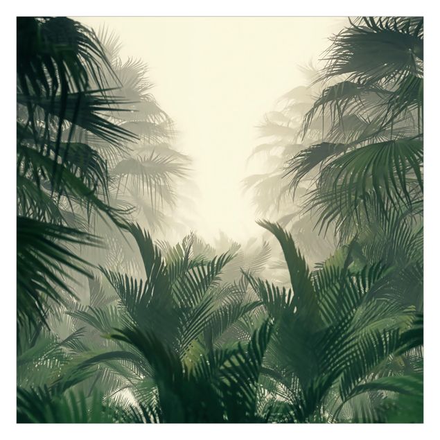 Fotobehang Tropical plants in the mist