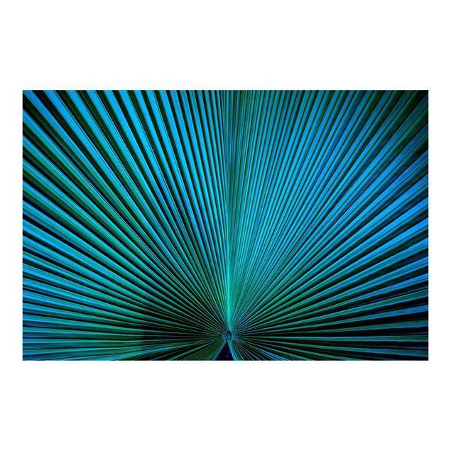 Fotobehang Tropical Plants Palm Leaf In Turquoise ll