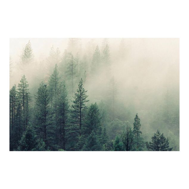 Fotobehang - Foggy Forest Awakening