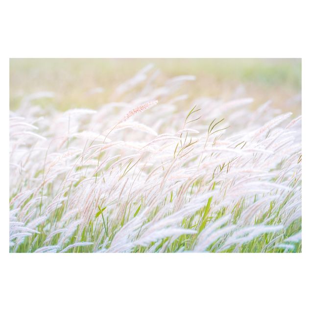 Fotobehang Soft Grasses