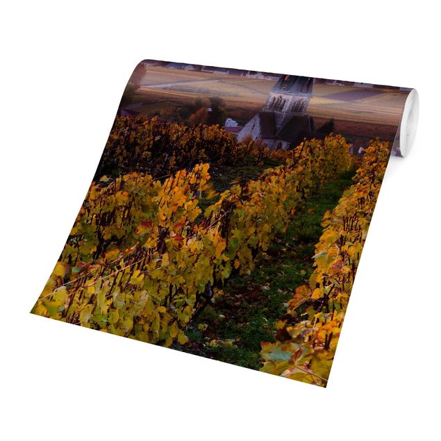 Fotobehang Wine Plantations At Sunset