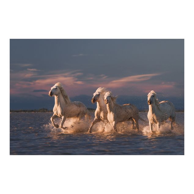 Fotobehang Wild Horses In Kamargue