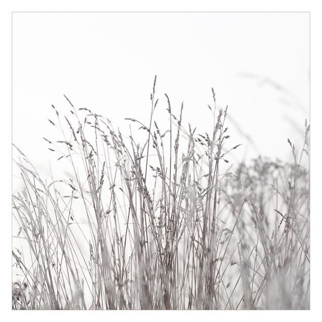 Fotobehang Winter Grasses