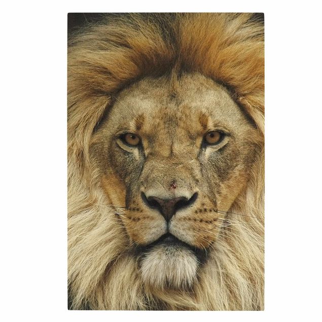 Natuurlijk canvas schilderijen Wisdom of Lion