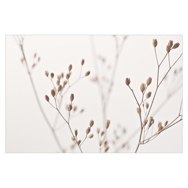 Fotobehang Delicate Buds On A Wildflower Stem