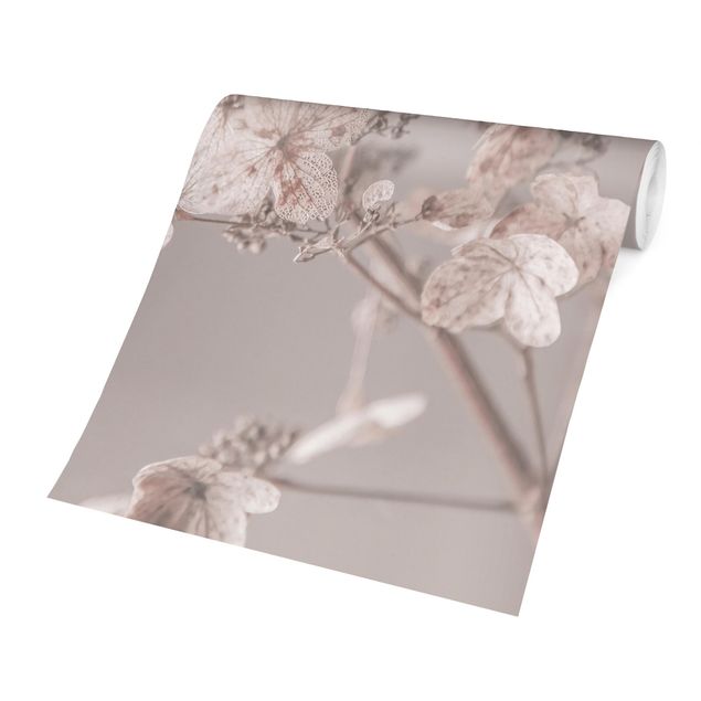 Fotobehang Delicate White Hydrangea