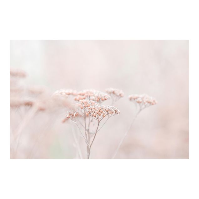 Fotobehang Pale Pink Wild Flowers