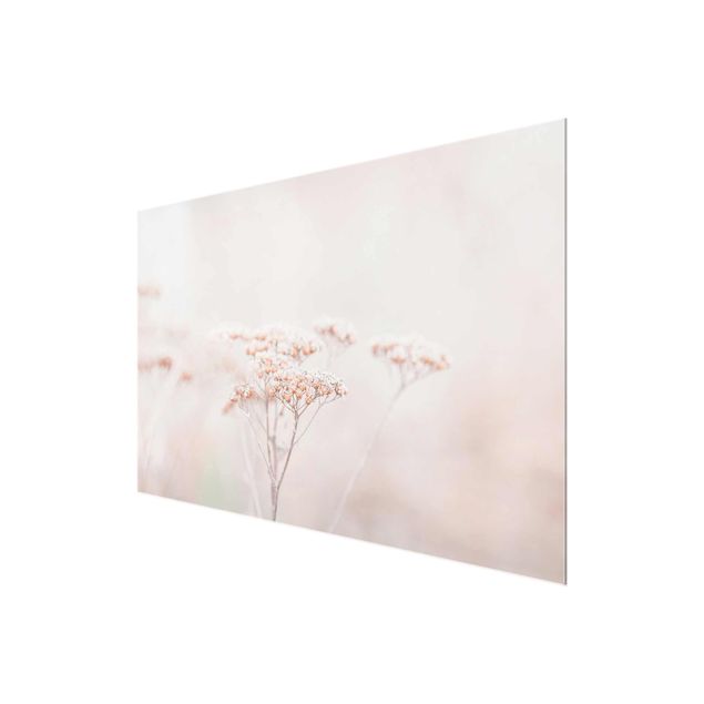 Glasschilderijen Pale Pink Wild Flowers
