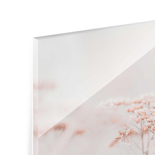 Glasschilderijen Pale Pink Wild Flowers
