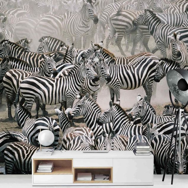 Fotobehang Zebra Herd