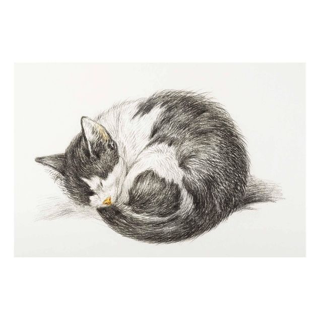 Glasschilderijen Vintage Drawing Cat II