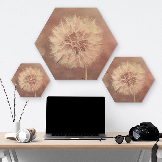 Hexagons houten schilderijen Dandelion Pink Bokeh
