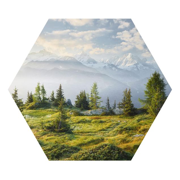 Hexagons Aluminium Dibond schilderijen Émosson Wallis Switzerland