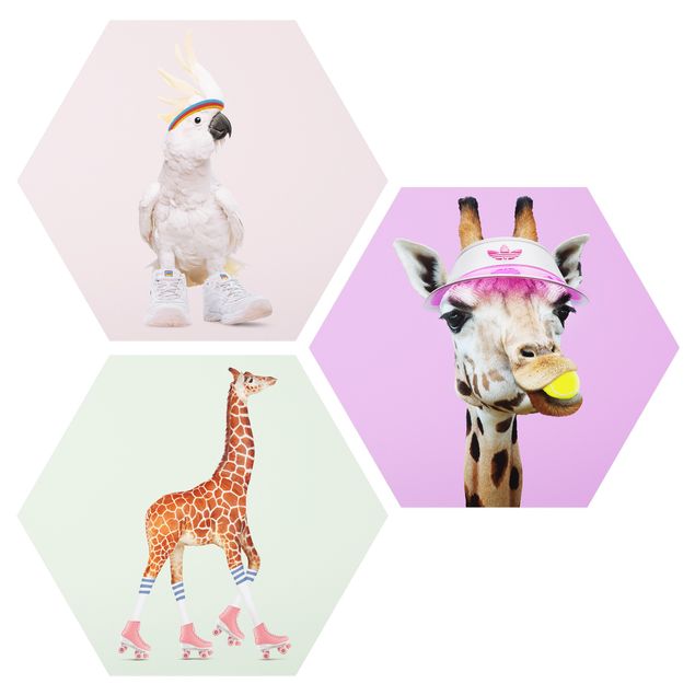 Hexagons Forex schilderijen - 3-delig Giraffes And Kakadu Sport Set I