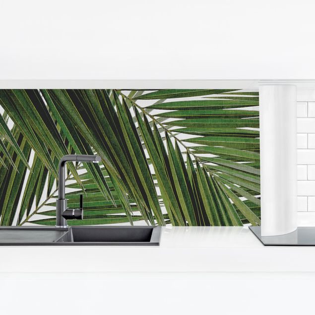 Achterwand voor keuken landschap View Through Green Palm Leaves