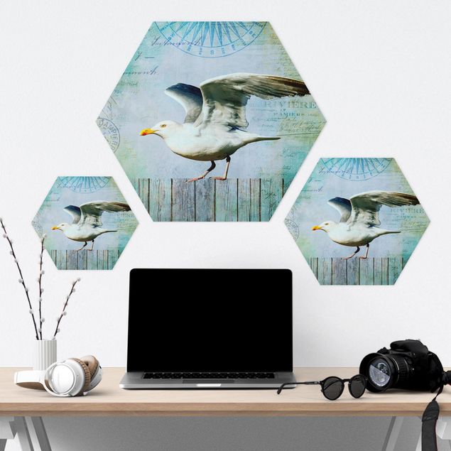 Hexagons Forex schilderijen Vintage Collage - Seagull On Wooden Planks
