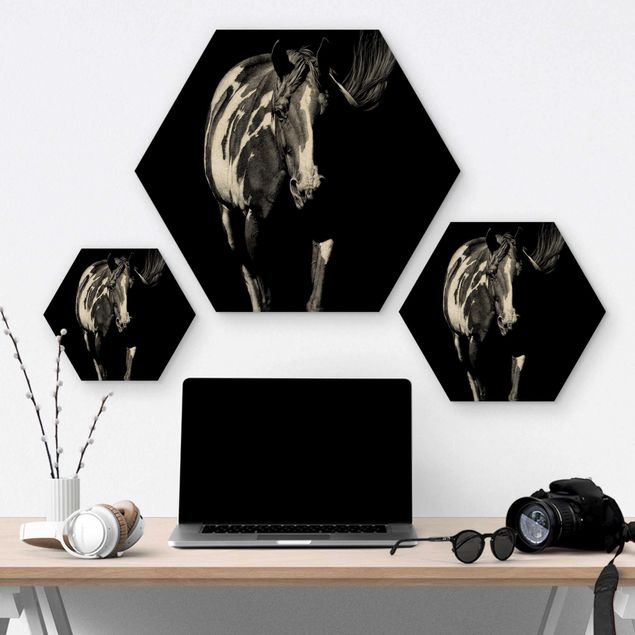 Hexagons houten schilderijen Horse In The Dark