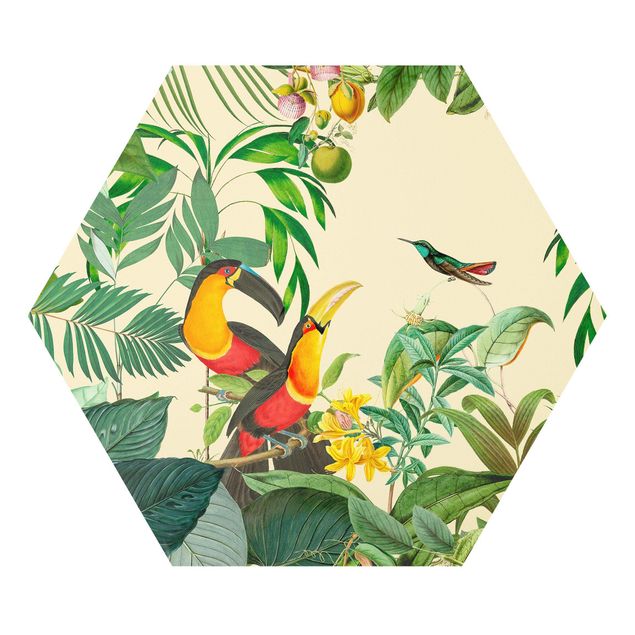 Hexagons Forex schilderijen Vintage Collage - Birds In The Jungle