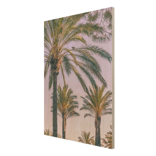 Houten schilderijen Palm Trees At Sunset