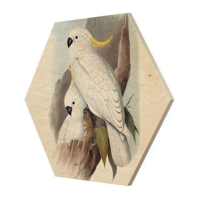Hexagons houten schilderijen Pastel Parrots III